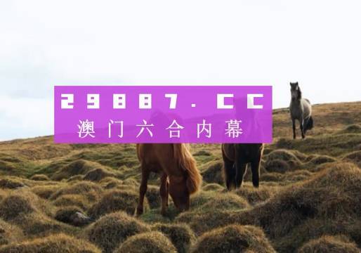 老澳门开奖结果+开奖记录20,高效解答解释定义_复刻版59.69