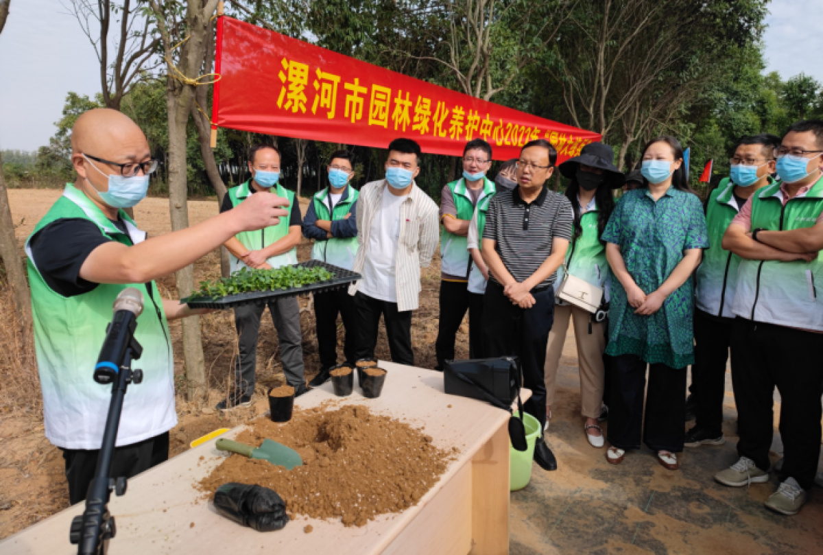 漯河市园林管理局启动城市绿化新篇章，城市绿化最新动态报道