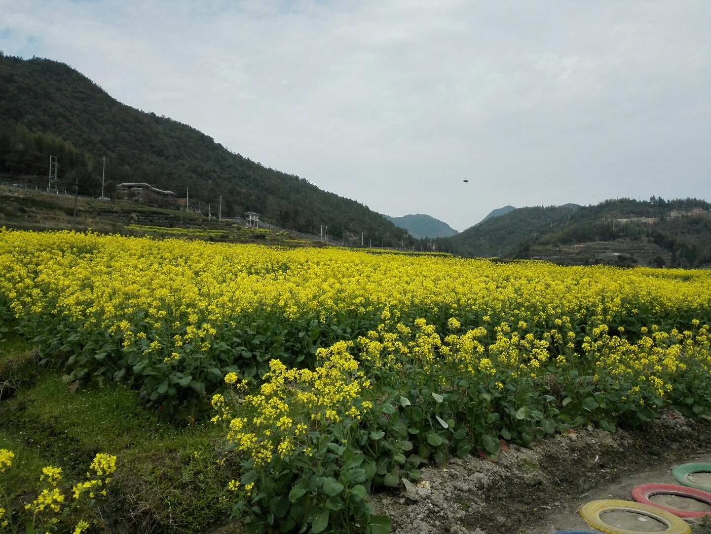 二都镇天气预报更新通知