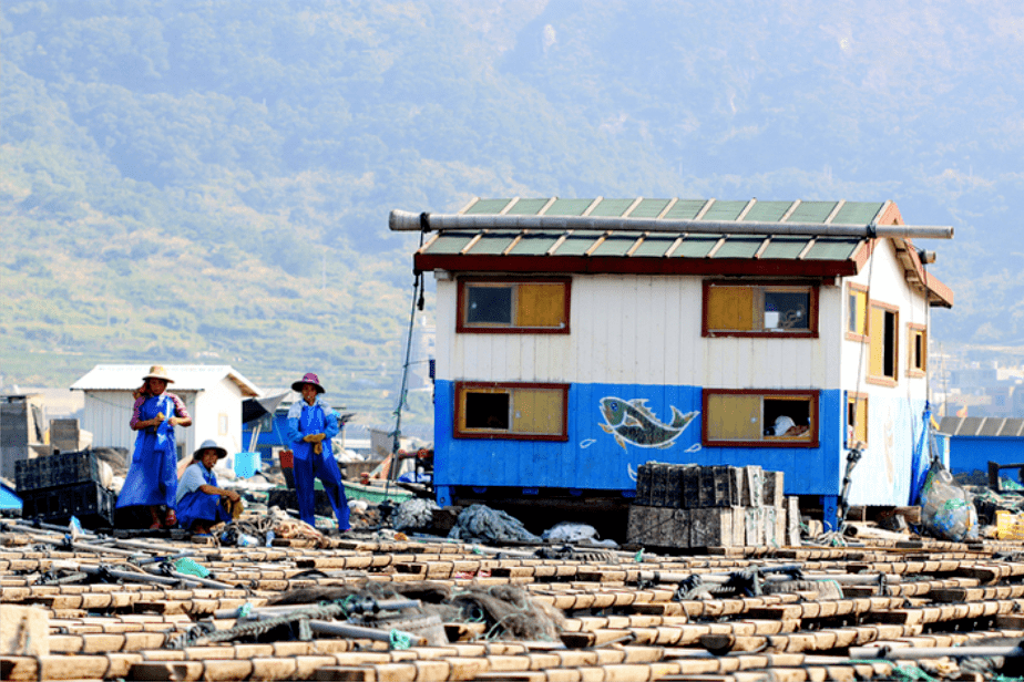 斯内达村交通迈向现代化新里程碑，最新交通新闻解析