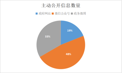 吉隆县数据和政务服务局发展规划探讨与展望