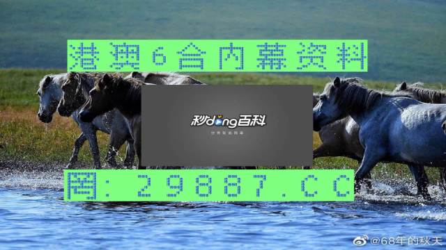 澳门马买马网站com,经典解释落实_The89.967