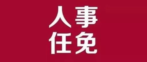 芜湖县审计局人事调整及机构重塑，推动审计事业新发展