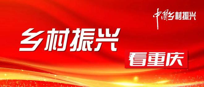 长寿区农业农村局领导团队引领农业新发展