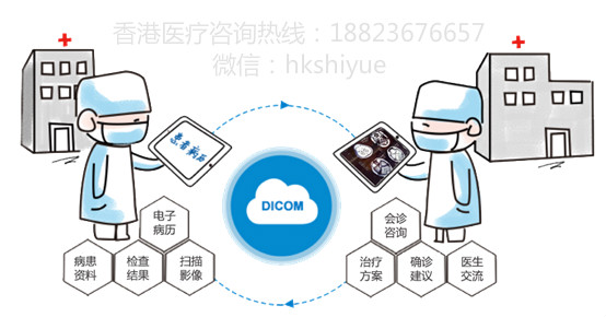 三期必出一期三期必开一期香港,专业数据解释定义_微型版13.59