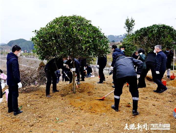 小碧乡最新新闻动态报道