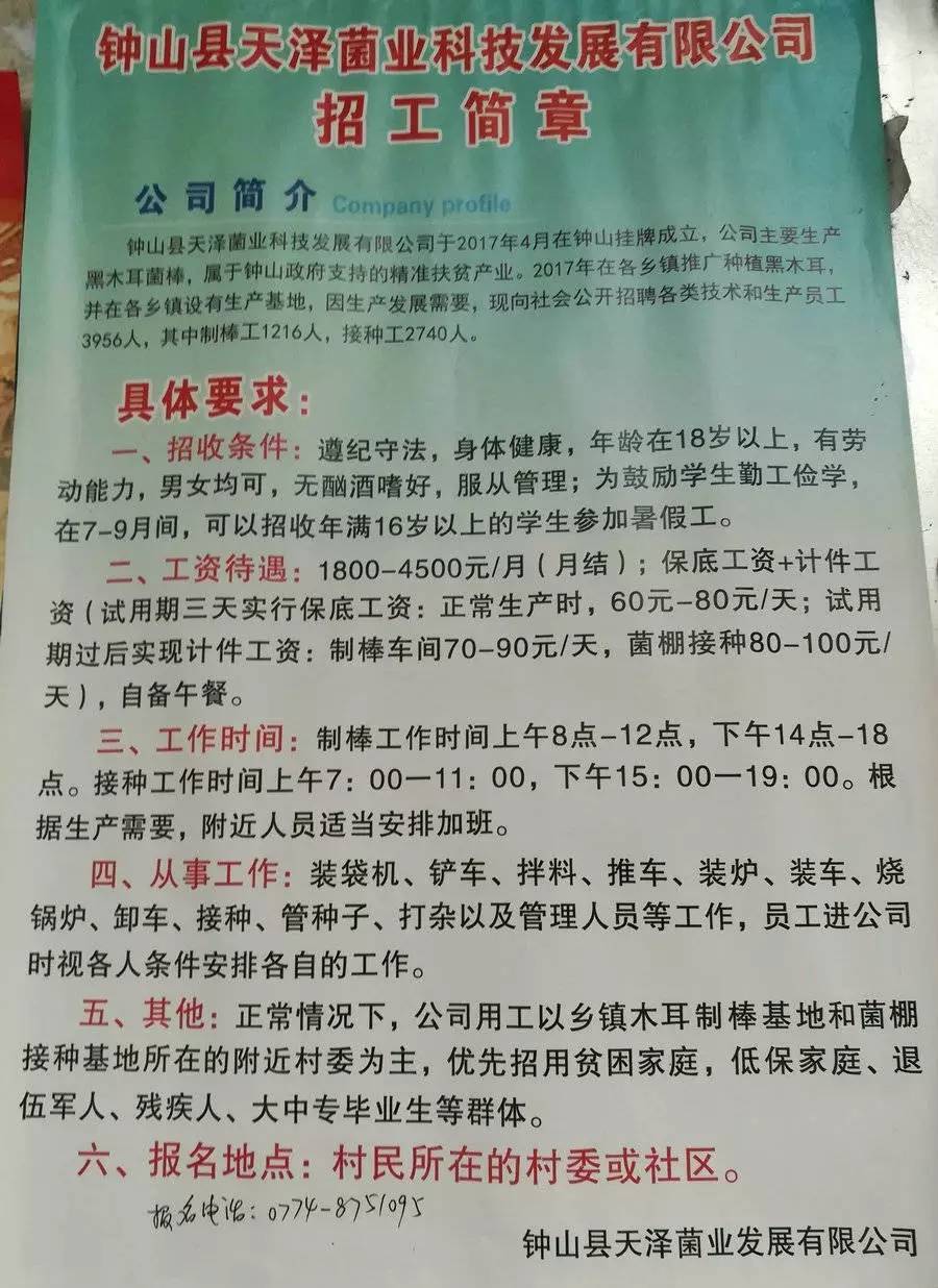 达热加欧村最新招聘信息及就业机遇探讨