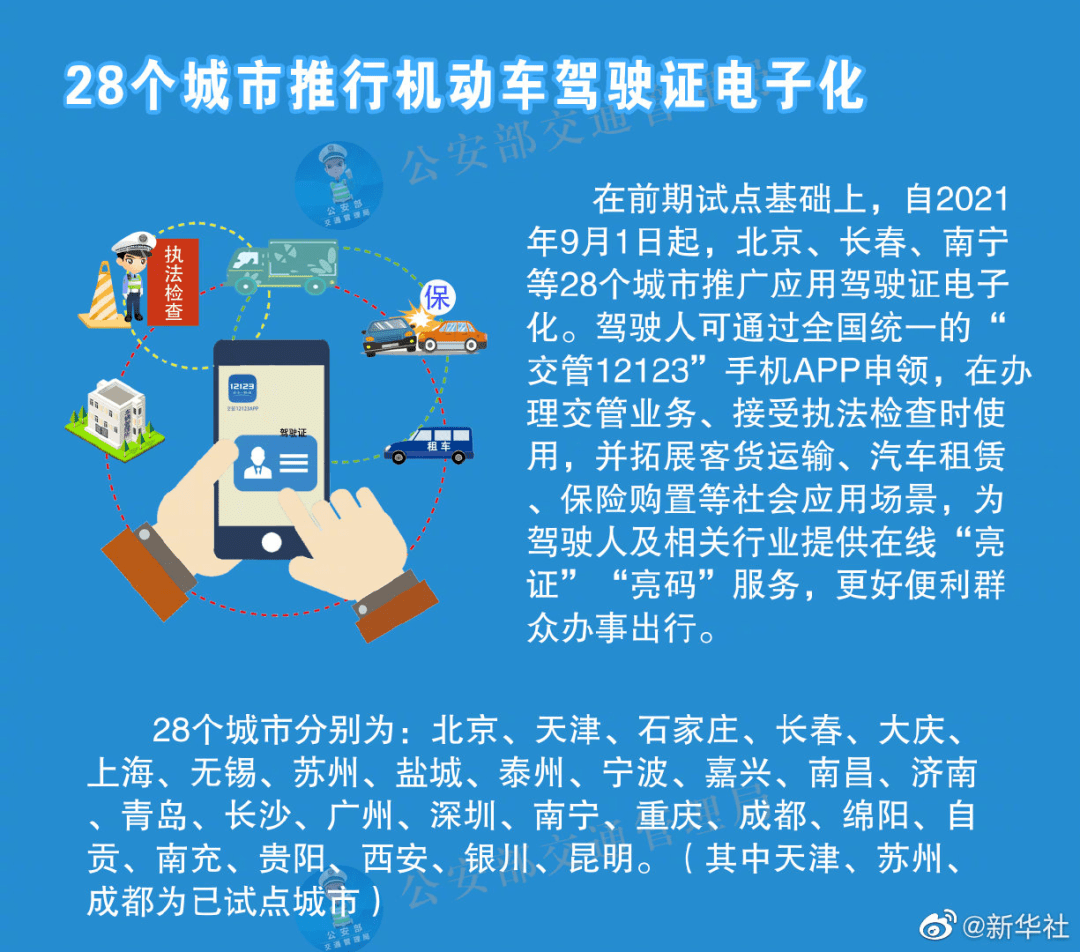 新澳门资料全年免费精准,诠释解析落实_精英版201.123