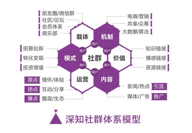 新澳2024年精准正版资料,数据驱动执行方案_专家版1.936