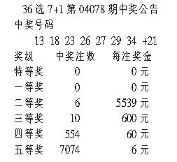 今晚王中王资料图,调整计划执行细节_set24.964