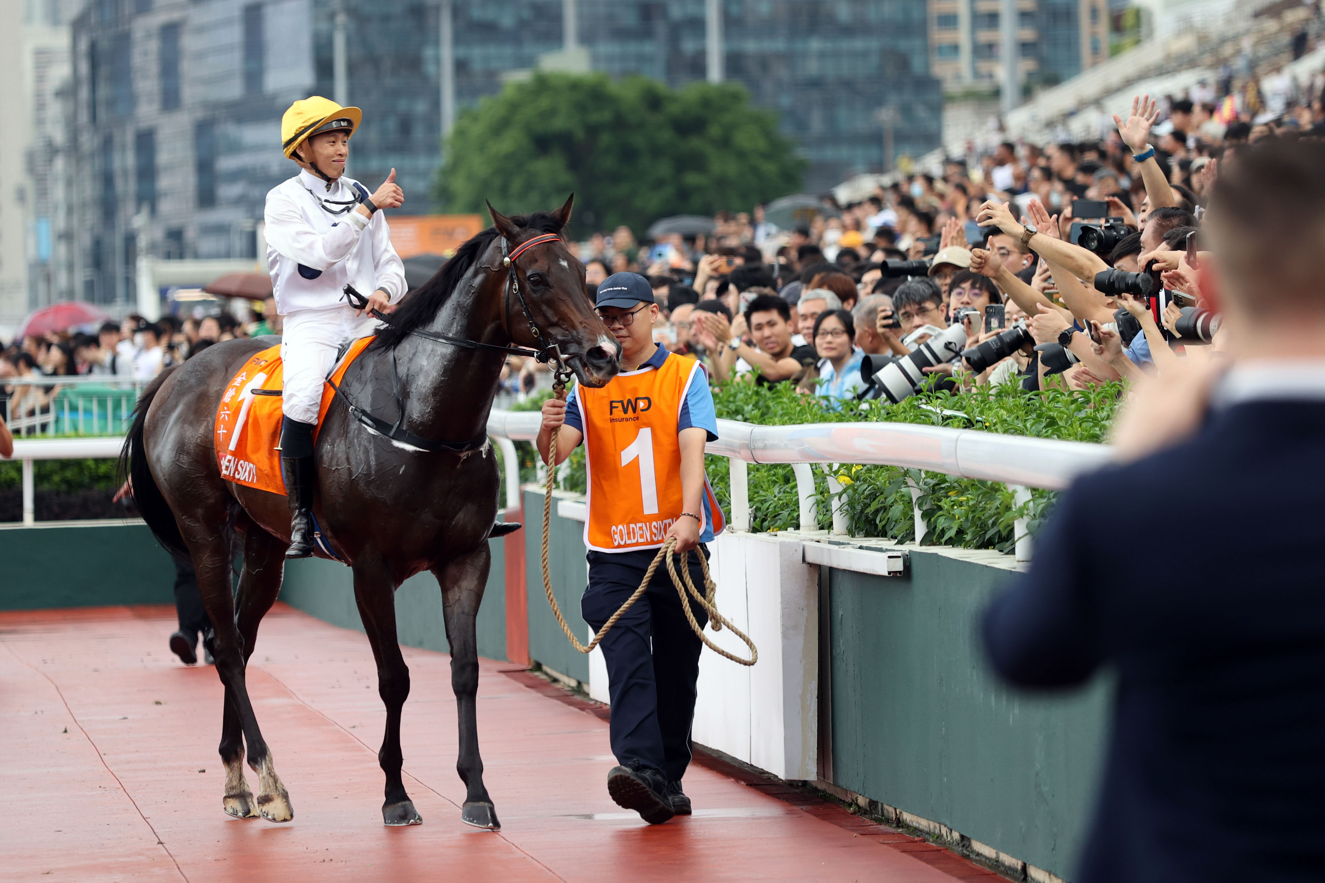 2024香港赛马全年免费资料,定性评估解析_HD38.860