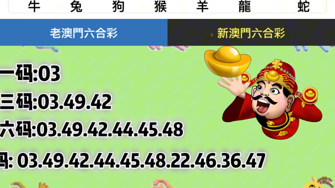 新澳门六开彩今晚开奖,精细策略分析_旗舰版65.656