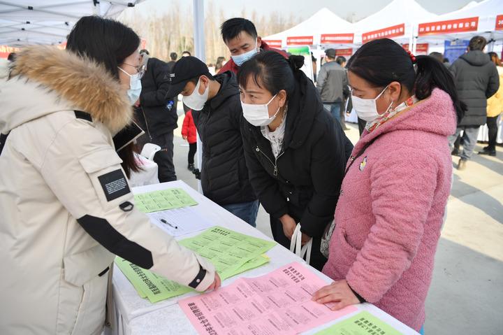 周至县农业农村局最新招聘启事概览