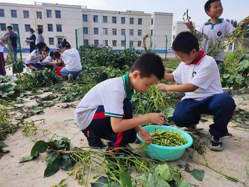 梦想之翼 第2页