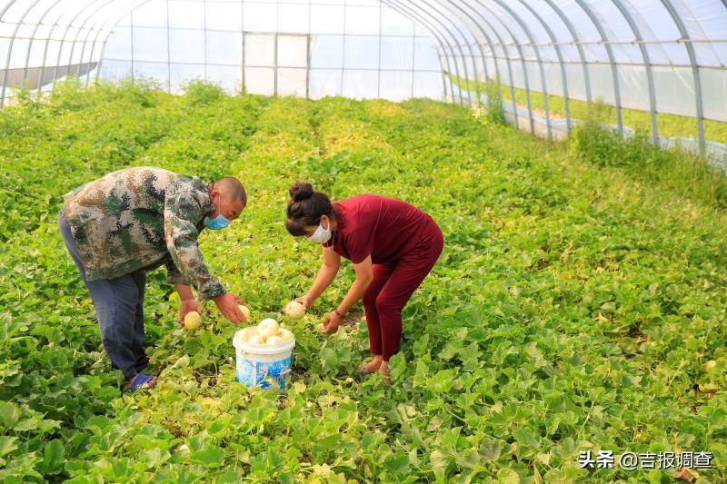 呼和车力蒙古族乡最新新闻速递