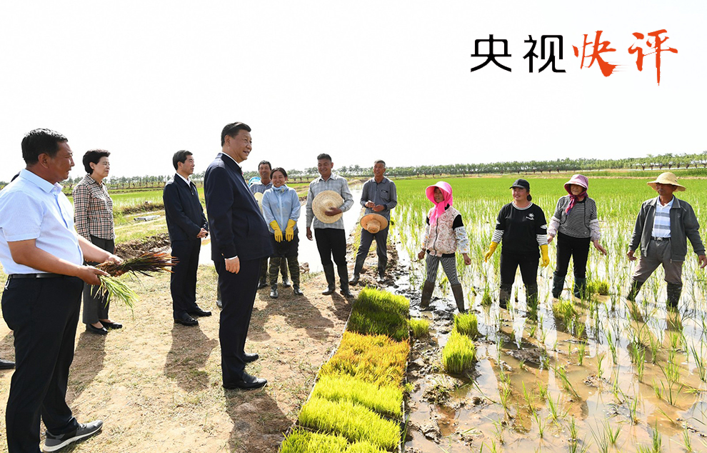 芦子滩村民委员会最新动态报道