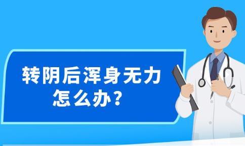 新澳精准资料免费提供265期,效率资料解释落实_免费版97.766