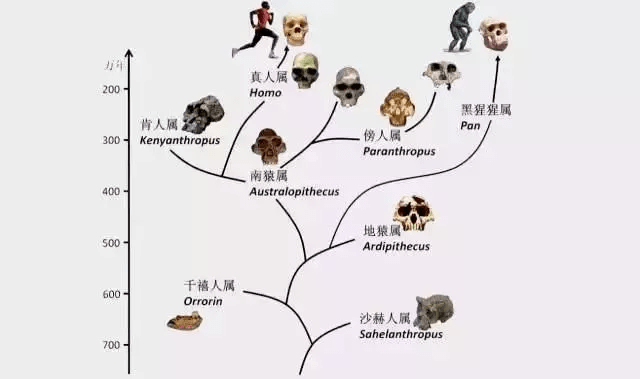 4949澳门最快开奖结果,动态调整策略执行_4K版85.448