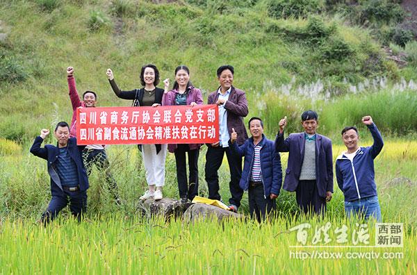 冷泉镇新项目，引领地区发展新篇章