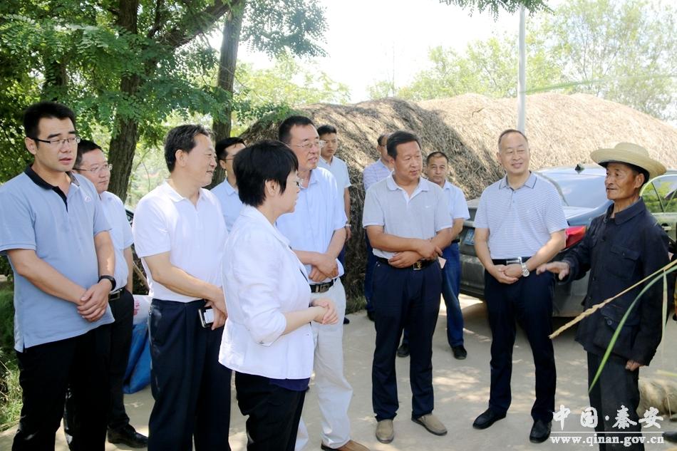 秦安县财政局未来财政蓝图发展规划揭秘