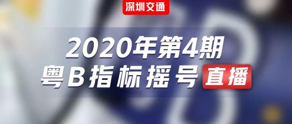 现场开奖澳门直播,实地应用验证数据_静态版52.549