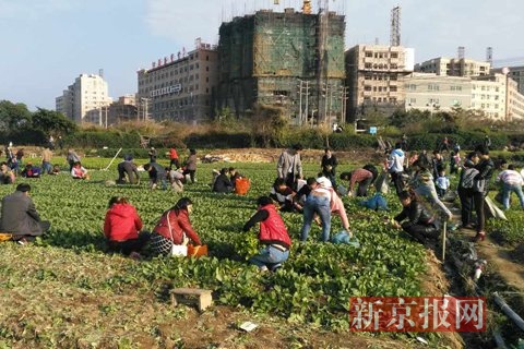 轩辕丶玉儿 第2页