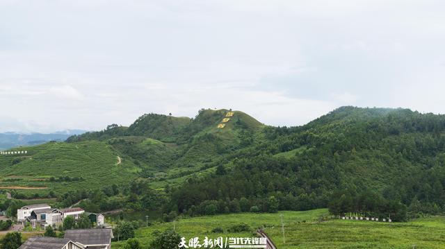 麻江乡未来繁荣蓝图，最新发展规划揭秘