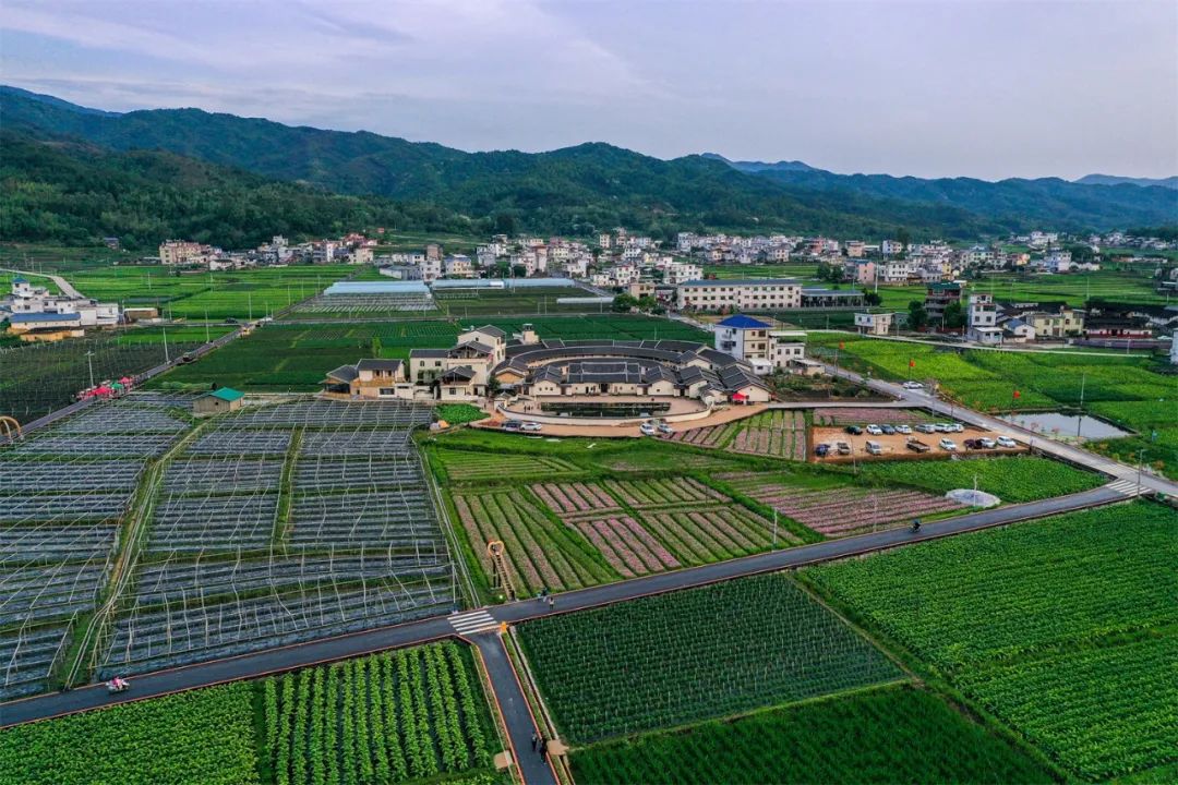 布日村典范项目，引领乡村发展新篇章