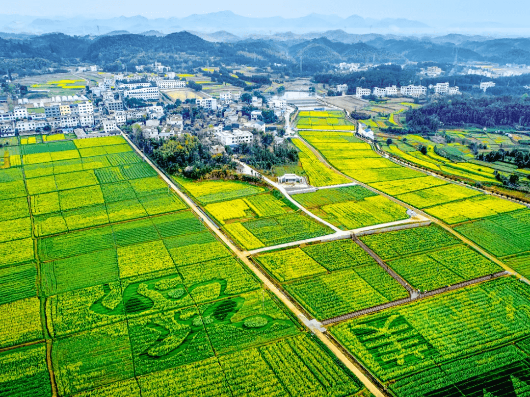 普利桥镇最新天气预报