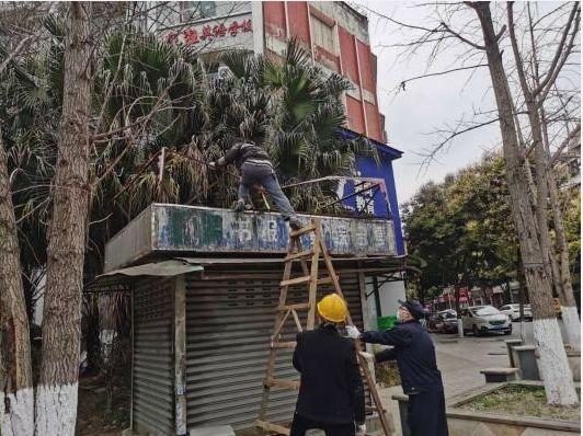 广汉市交通运输局最新动态报道