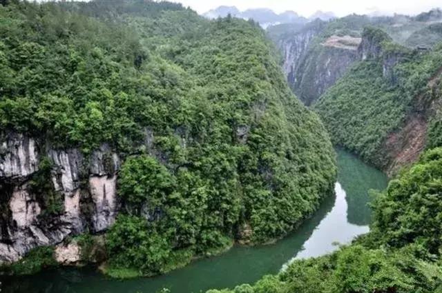 鹤峰县卫生健康局最新项目，推动健康鹤峰建设迈上新台阶