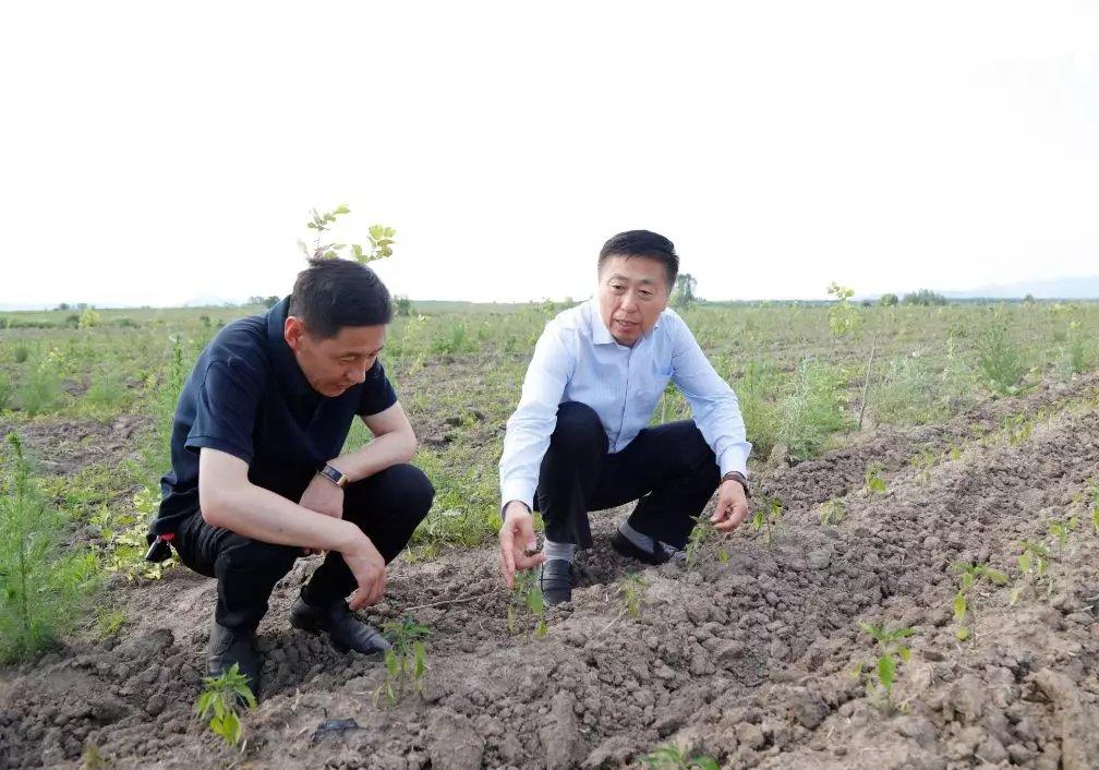 通河县人民政府办公室发展规划概览