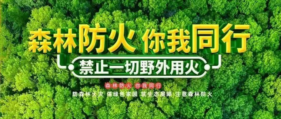 山西省长治市沁源县法中乡最新项目，乡村振兴与可持续发展的强劲动力源泉