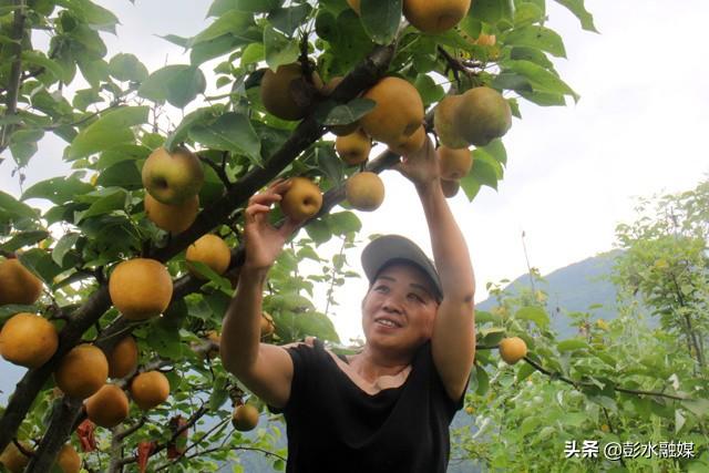 彭水苗族土家族自治县自然资源和规划局最新动态