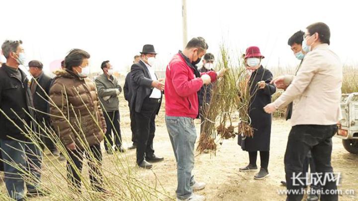 洚河流镇新项目，先锋力量引领地区发展