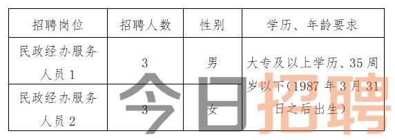 临洮县司法局最新招聘公告概览