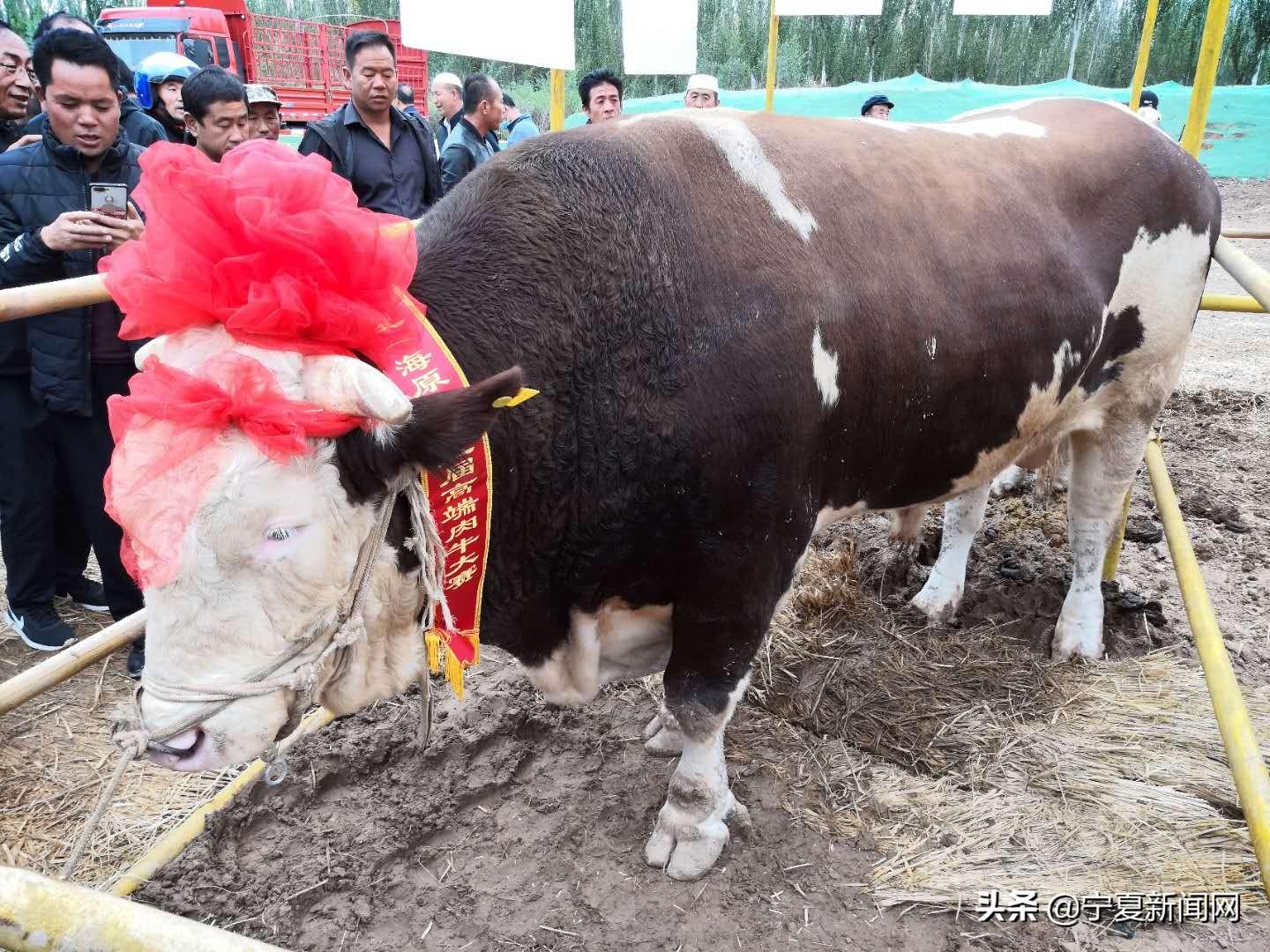 甘城乡交通迈向现代化新篇章